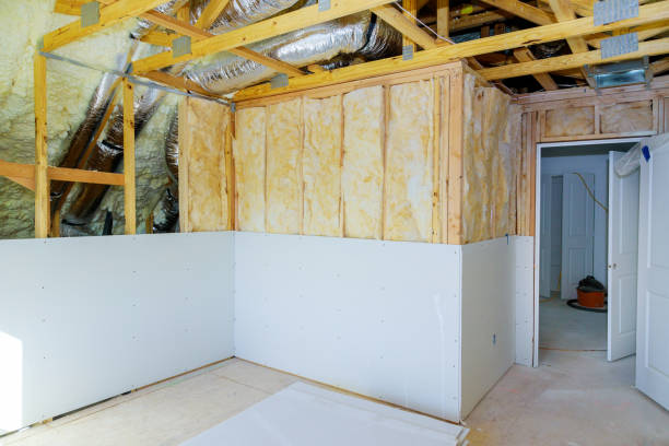 Best Geographic-Specific Insulation Services in The Villages, FL