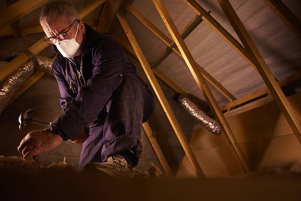 Best Specialized Insulation Services in The Villages, FL