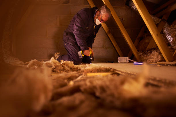 Professional Insulation Contractor in The Villages, FL